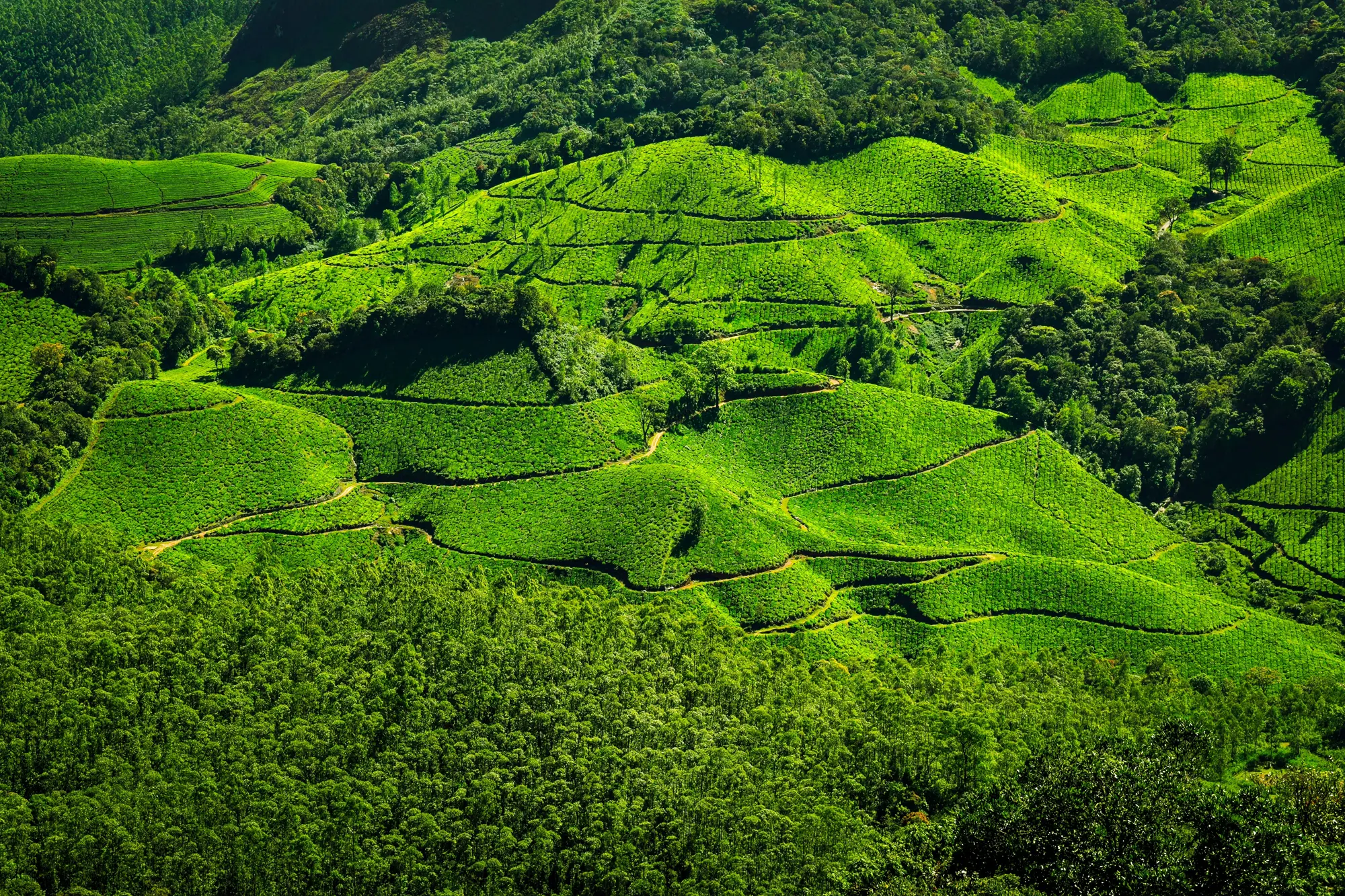 Fast. Efficient. Sustainable.